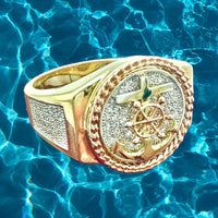 14K Tri-color Gold CZ Anchor Ring